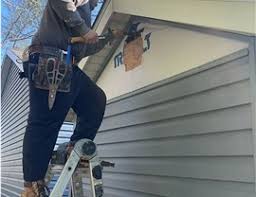 Best Siding Painting and Refinishing  in Douglas, WY